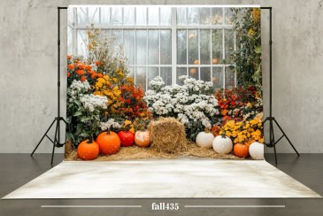 تصویر بکدراپ پارچه ای عکاسی طرح پاییز کد fall435 