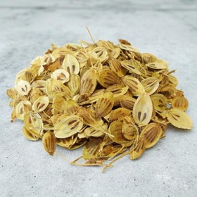 تصویر گلپر درشت 