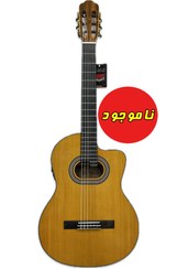 تصویر گیتار حرفه ای تین بادی پالادو - اکولایزردار CG90 - کات اوی رنگ براق 