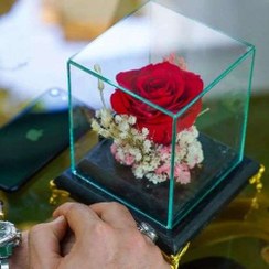 تصویر خرید گل رز جاودان در تهران a1070 