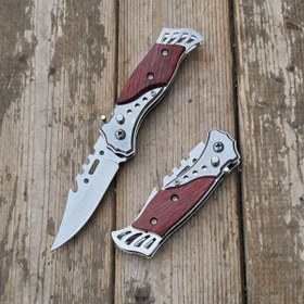 تصویر چاقوی جیبی ماهی کوچک 