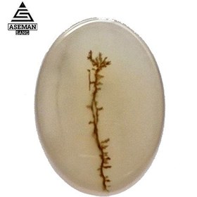 تصویر شجر S67 