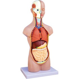 تصویر مولاژ نیم تنه کد AA18 