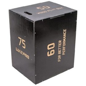 تصویر جامپ باکس چوبی LIVEPRO مدل LP8150 