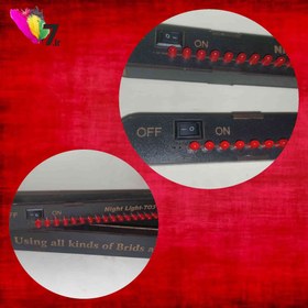 تصویر لامپ شب پرندگان 