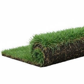 تصویر چمن رولی طبیعی 