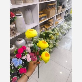 تصویر گل سه شاخه 