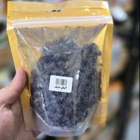 تصویر آلبالوخشک 