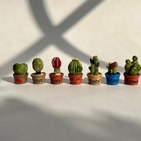 تصویر دکوری کاکتوس - 7 accessory