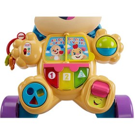 تصویر واکر پاپی صورتی آموزشی Fisher Price 