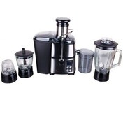 تصویر آبمیوه گیری همیلتون مدل 151 Hamilton 151 Juicer