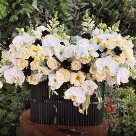 تصویر تاریکی شب 