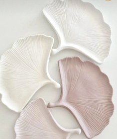 تصویر شیپ عکاسی مدل برگ جینگو 