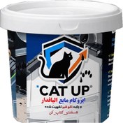 تصویر عایق رطوبتی ایزوگام مایع نانو الیافدار ۱۰ کیلوگرم 