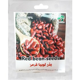 تصویر بذر لوبیا قرمز گرین فارم کد DF25 