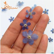 تصویر شکوفه آبی پنج‌پر(بسته‌ی ۵ تایی) 