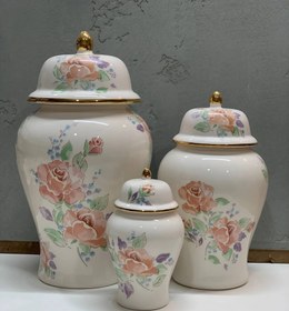 تصویر جینجرجار ابرنگی 