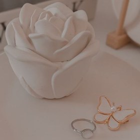 تصویر بانکه گل رز 