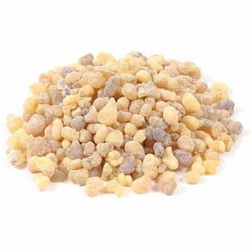 تصویر کندر جویدنی 