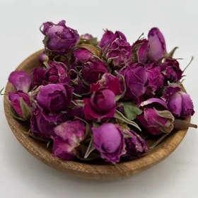 تصویر غنچه گل محمدی 