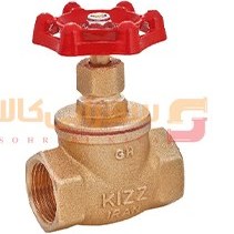 تصویر شیر سوزنی کیز ایران 