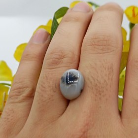 تصویر نگین شجر طبیعی کد ۱۲۰۸۴ 