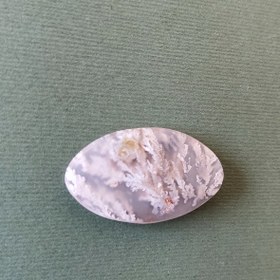 تصویر سنگ شجر کد 40005 