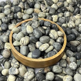 تصویر جاسپر تمساح 