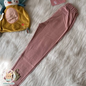 تصویر ساپورت گربه ای 