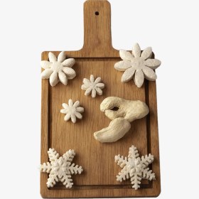 تصویر نبات زنجبیل 