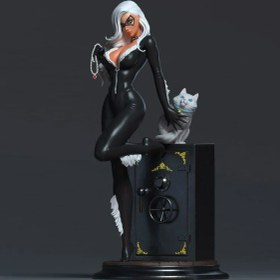 تصویر اکشن فیگور بلک کت 