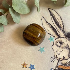 تصویر چشم ببر ۰۶ 