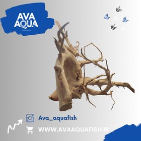 تصویر چوب آبنوس آکواریوم کد 7 