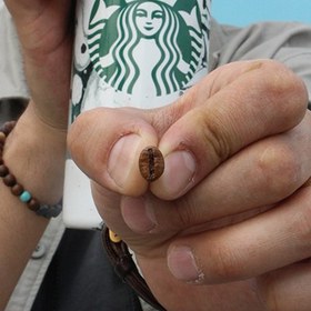 تصویر پیرسینگ قهوه 