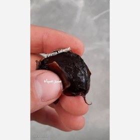 تصویر سیرسیاه 500 گرمی جایما 