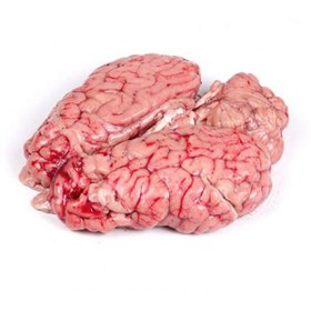 تصویر مغز گوساله 