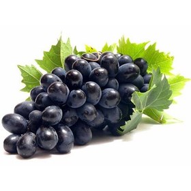 تصویر انگور سیاه 