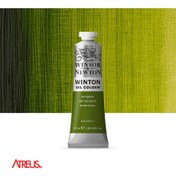 تصویر رنگ روغن وینزور و نیوتون شماره ۵۹۹ سبز سایز ۳۷ میلی لیتر 