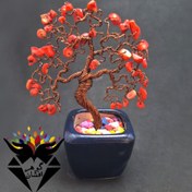 تصویر درختچه زندگی سنگ مرجان اصل TR3000 