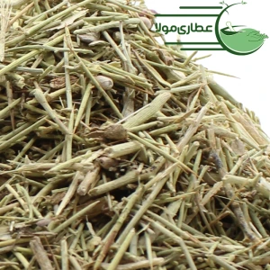 تصویر فروشگاه عطاری مولا