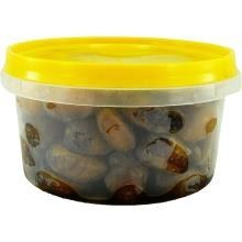 تصویر رطب کبکاب ظرفی گرد 