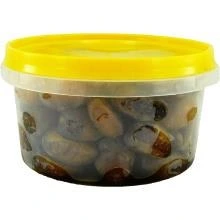 تصویر فروشگاه پالامی