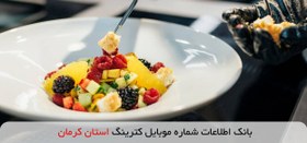 تصویر بانک اطلاعات شماره موبایل کترینگ استان کرمان 