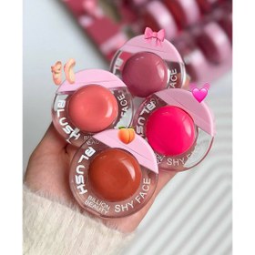 تصویر رژگونه و رژلب shy face 