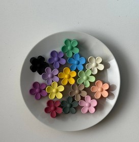 تصویر مینی کلیپس بابونه 