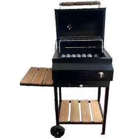 تصویر باربیکیو ذغالی گازی 