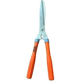 تصویر قیچی شمشادزن آسا 