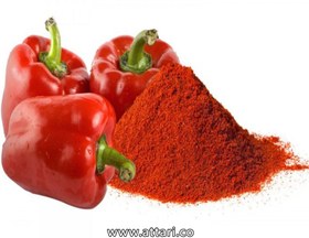 تصویر فلفل پاپریکا قلم 