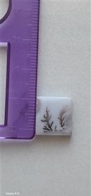 تصویر نگین شجر انگشتر کد 08 