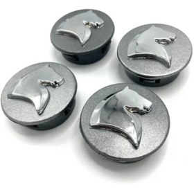 تصویر کاپ رینگ سمند 